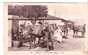 CPA - 65 - BATNA - LA FONTAINE BOCCA - N. D. - ANIMEE - CHAMEAUX