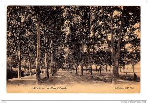 Batna. Les Allées d'Aumale.