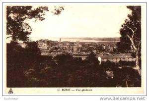 17 bone - vue générale