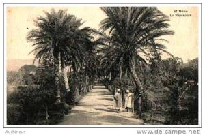 82 bône - la pépinière