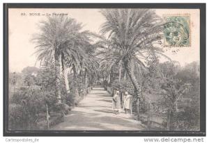 CPA Bone, La Pepiniere