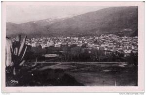 BONE  Vue générale