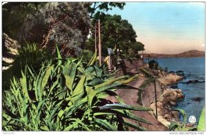 ALGERIE BONE - La corniche