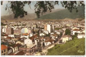 bone - 1001 - Vue générale