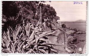 Algérie - Bone - La corniche