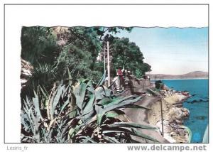 CPA - BONE - 25 - LA CORNICHE