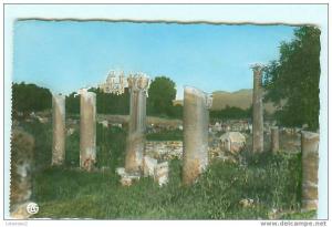 BONE / Les Ruines d' Hyppone et la Basilique / Annaba