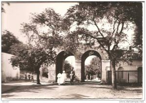 BONE .. PORTE DES CAROUBIERS