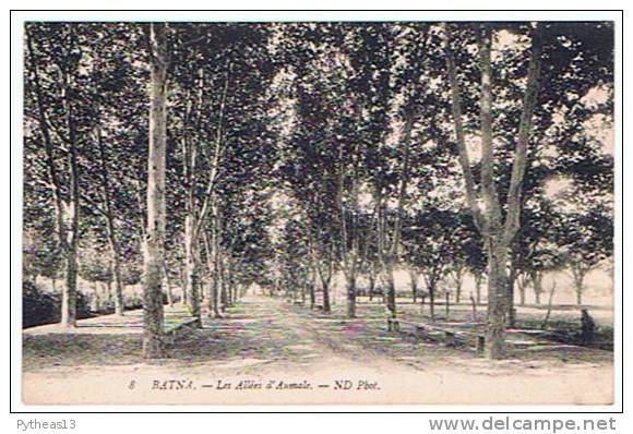 BATNA - Les allées d´Aumale