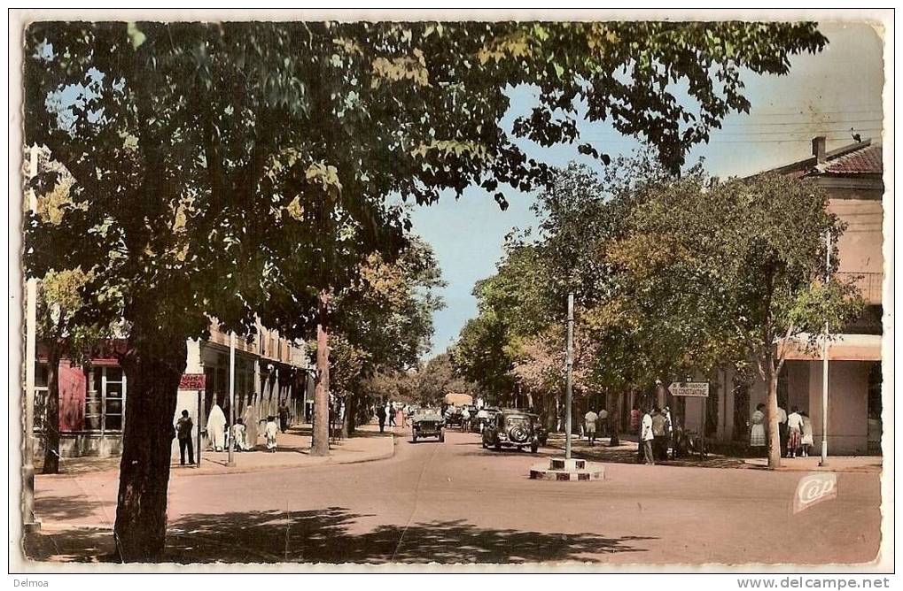 ALGERIE BATNA Avenue de la République