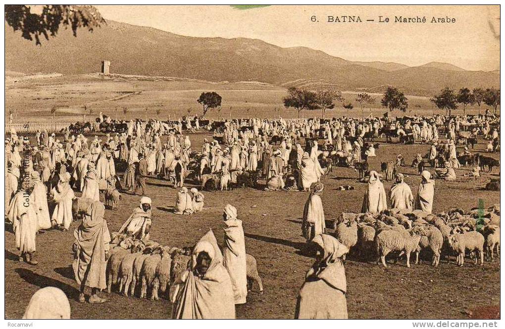 CPA - ALGERIE - BATNA - Le marché arabe - N°6 - circulée en 1910