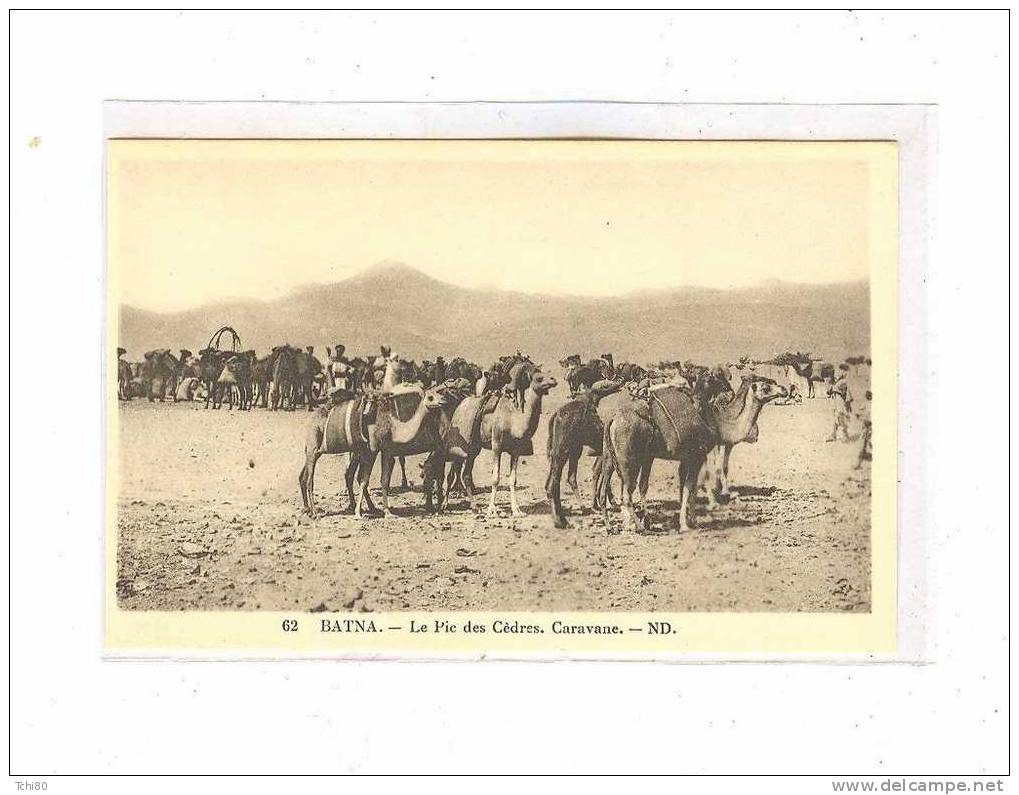 BATNA_Le pic des Cèdres -Caravane