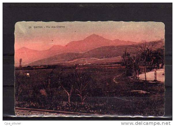 ALGERIE Batna Vue Générale, Pic des Cèdres, ed Bouillard 25, 193?