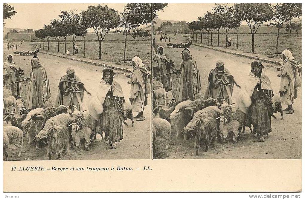 1925  BERGER ET SON TROUPEAU A BATNA   animee