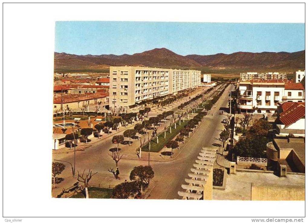 ALGERIE Batna Allées Ben Bouaid, ed SNE 2785, CPSM 10x15, 197?