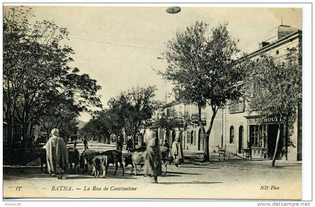 CPA...DE BATNA...ANIMEE AVEC ANIMAUX ET COMMERCE...LA RUE DE CONSTANTINE...