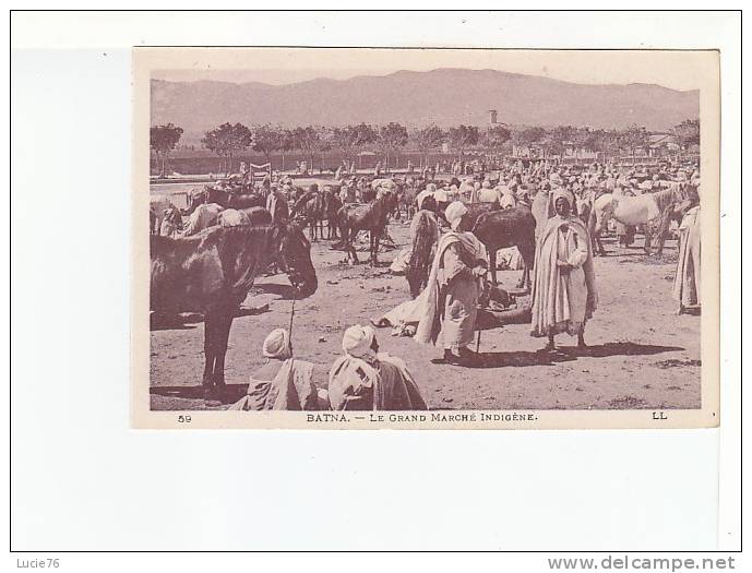 BATNA - Le Grand Marché Indigène - n° 59