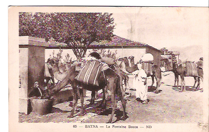 CPA - 65 - BATNA - LA FONTAINE BOCCA - N. D. - ANIMEE - CHAMEAUX