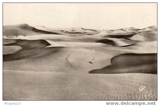 Biskra La Mer de Sable Oblitérée le 1 juin 1962 Batna Marianne de Décaris République Française