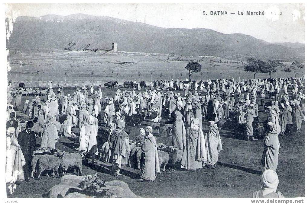 9 BATNA LE MARCHE