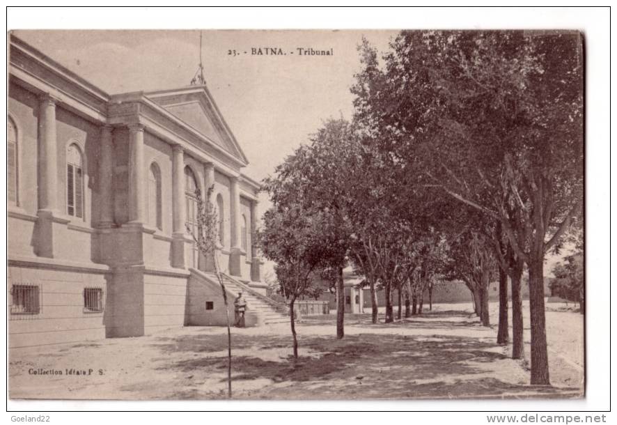 23  -  BATNA  -  Tribunal