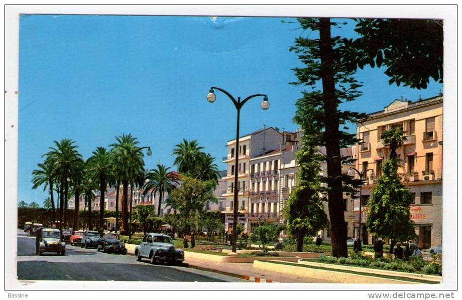 B344/CPSM FORMAT CPA ANNABA COUR DE LA REVOLUTION