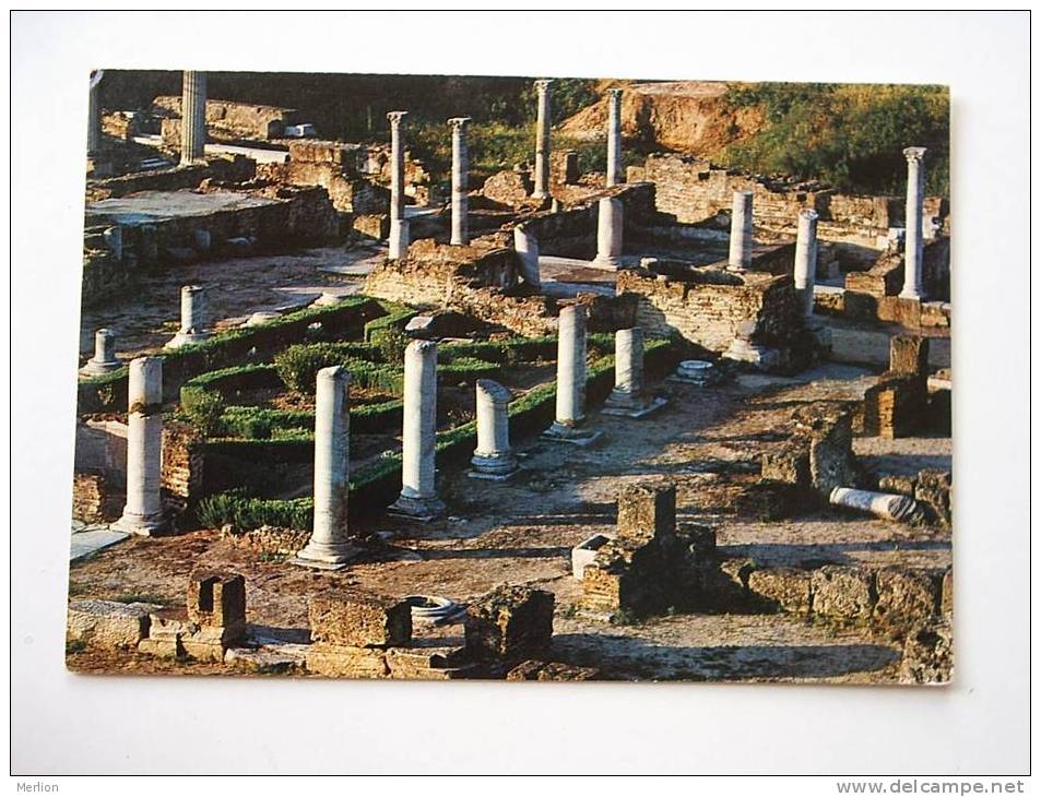 Algerie Algeria - ANNABA      F   D28498