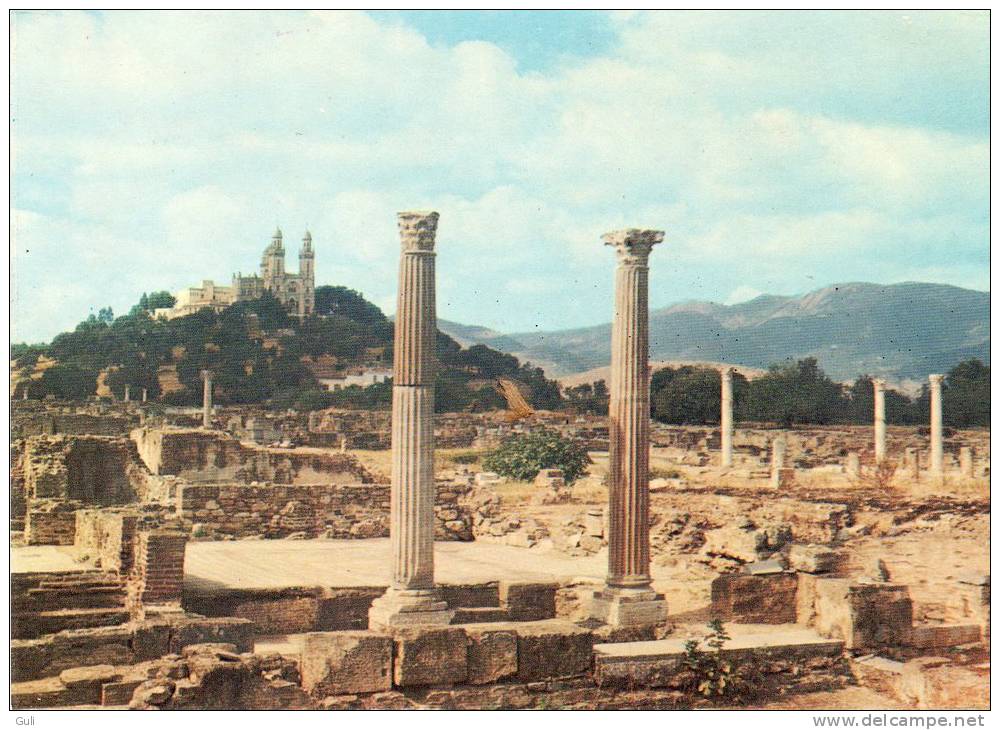 Algérie- (Annaba)  (Bône) Les ruines d'Hippone  *PRIX FIXE