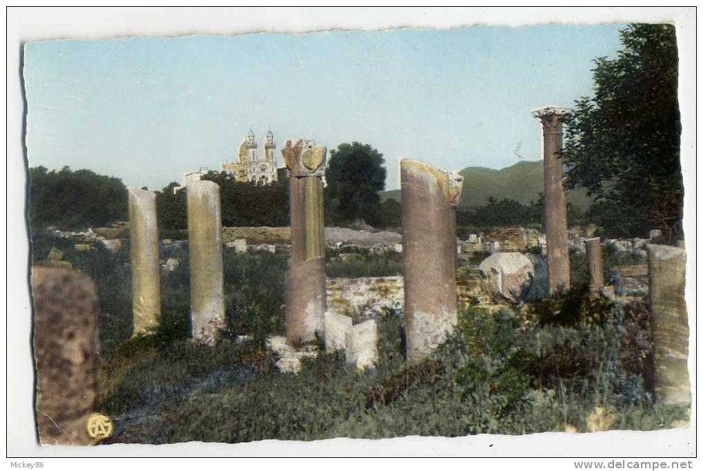 Algérie--BONE--ANNABA-196 0--Les   ruines d´Hippone et la Basilique  cpsm pt format n° 18  éd A.Sirecki