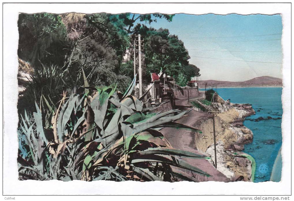 Bône        La Corniche