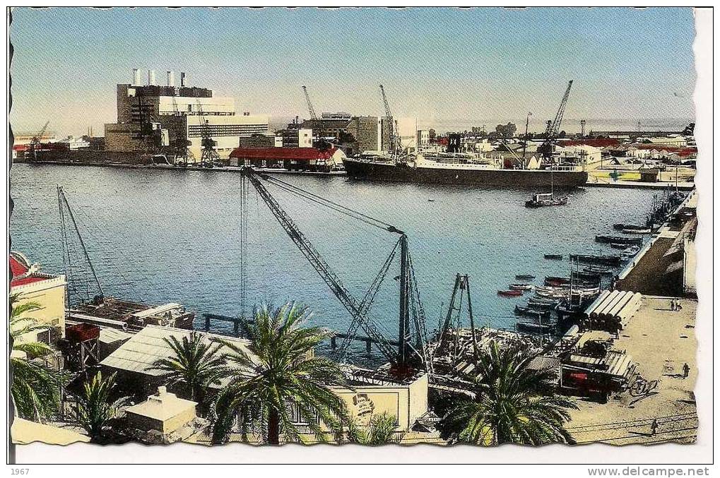 CPSM  -  Algérie  -   BÔNE  -  Le Port -