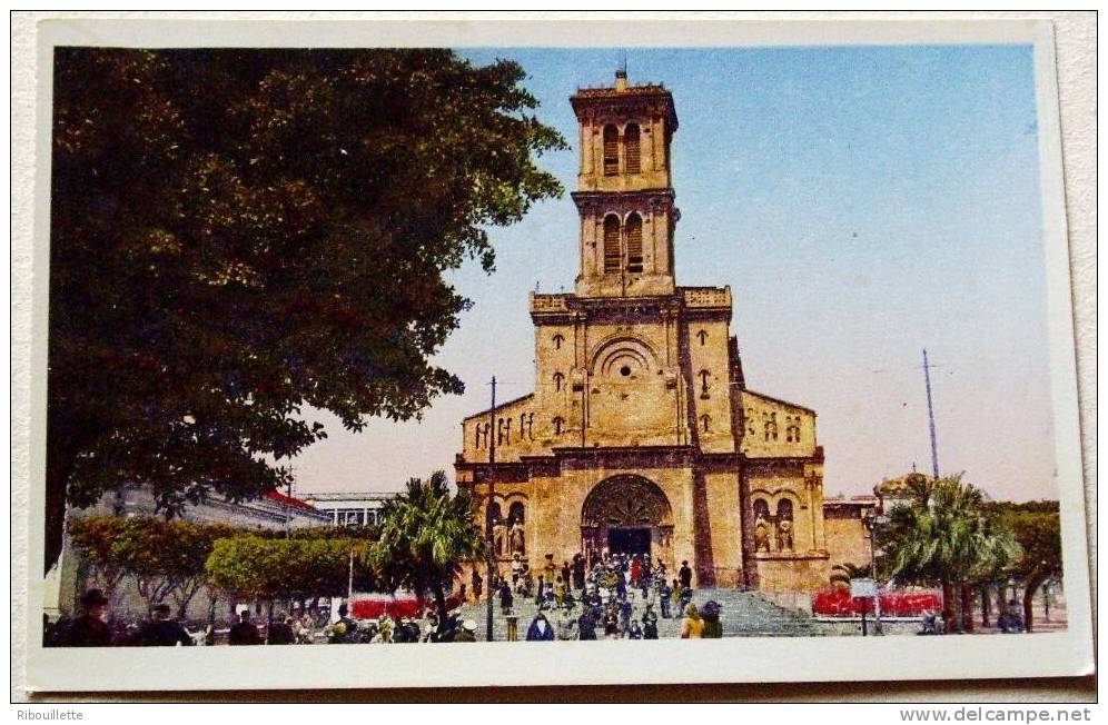 Algérie - CP N° L381 - Bone - CPSM/N