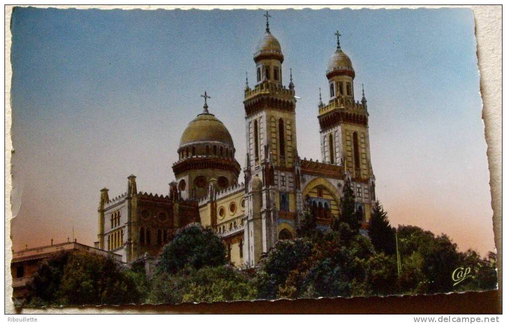 Algérie - CP N° L387 - Bone - CPSM/N