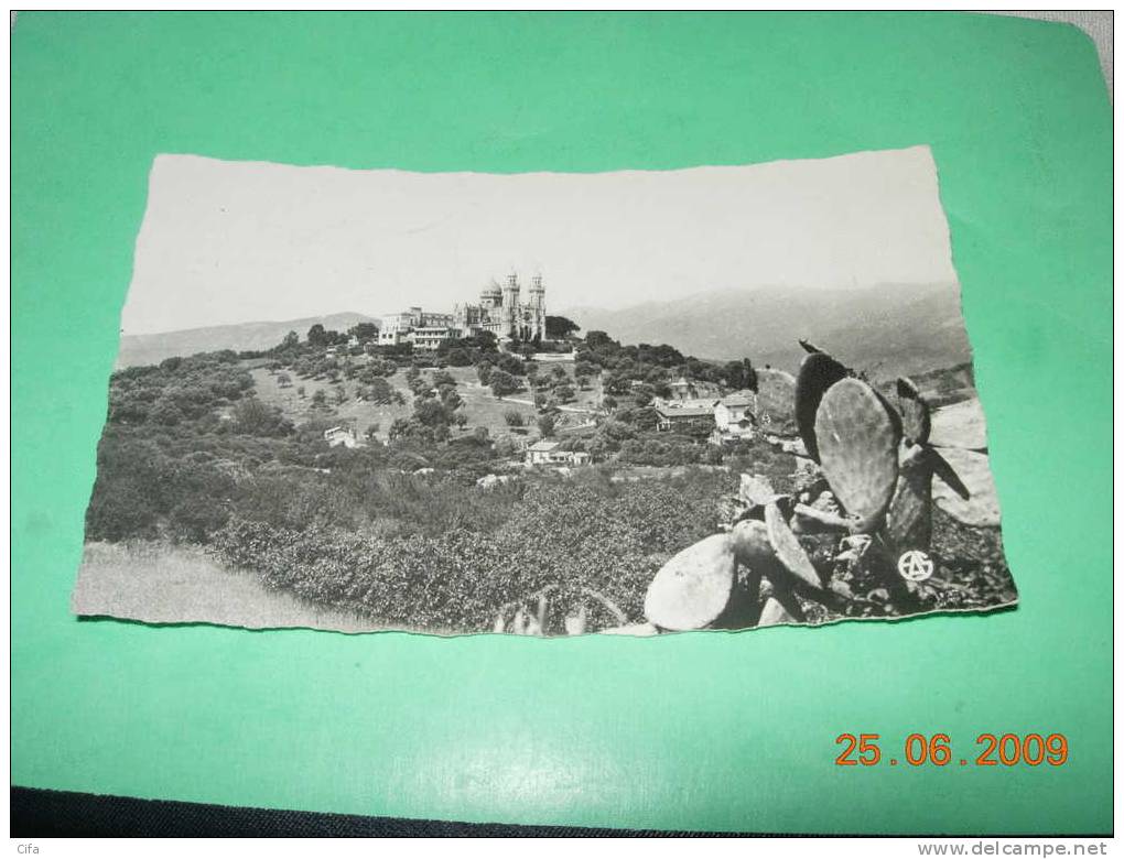 ALGERIE BONE LA BASILIQUE SAINT AUGUSTIN