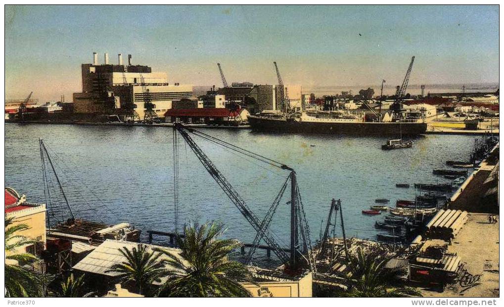 ALGERIE BONE - Le port