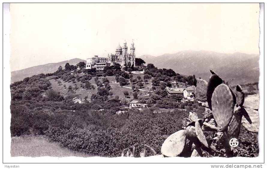 BONE - BASILIQUE ST AUGUSTIN