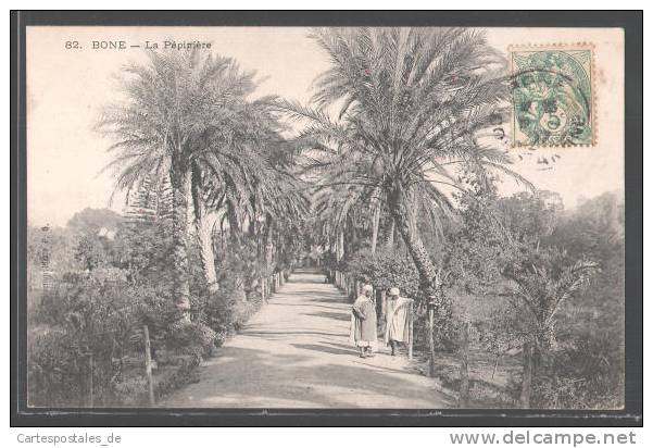 CPA Bone, La Pepiniere