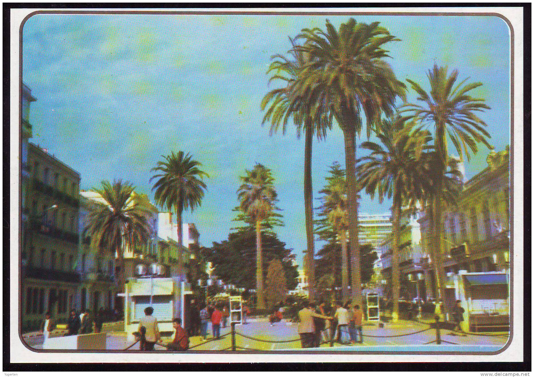 ALGERIE - CPA - Annaba - Bône - Le Cours de la Révolution