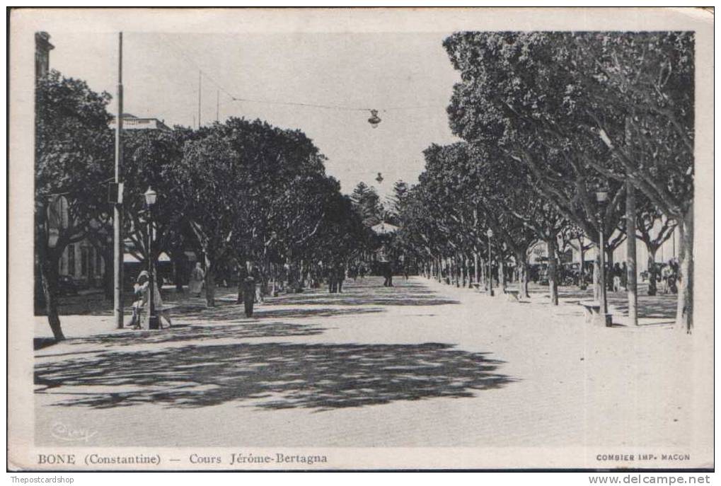 CPA ALGER ALGIERS ALGERIA  BONE COURS JEROME BERTAGNA COMBIER IMP MACON