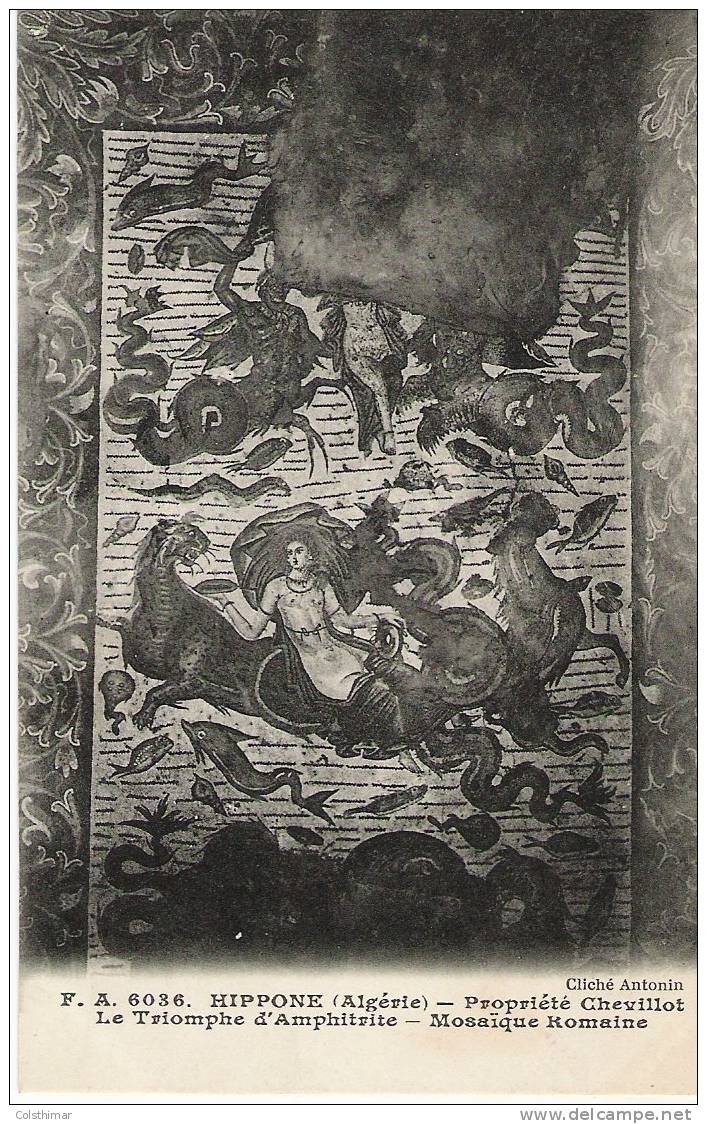 BONE  HIPPONE PROPRIETE CHEVILLOT LE TRIMPHE D AMPHITRITE