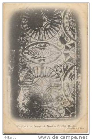 BONE HIPPONE Propriété de Monsieur Chevillot Mosaïque