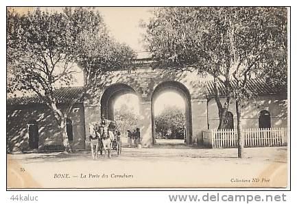 BONE La Porte des Caroubiers