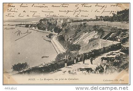 BONE Les Remparts, vue prise des Caroubiers