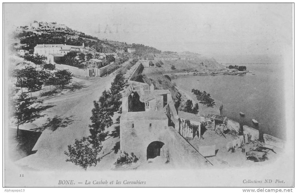 CPA precurseur BONE la casbah les caroubiers