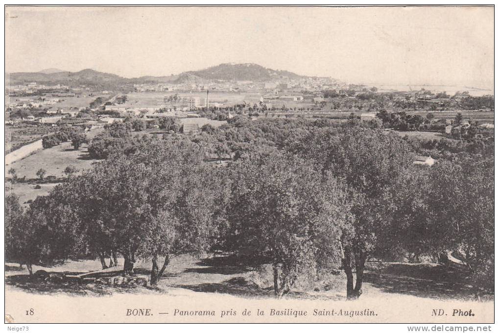 cpa de BONE - Panorama pris de la Basilique Saint Augustin