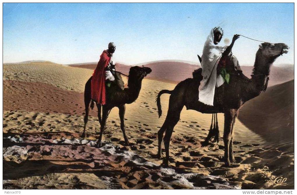 ALGERIE - Méharistes traversant les dunes Posté de Bône