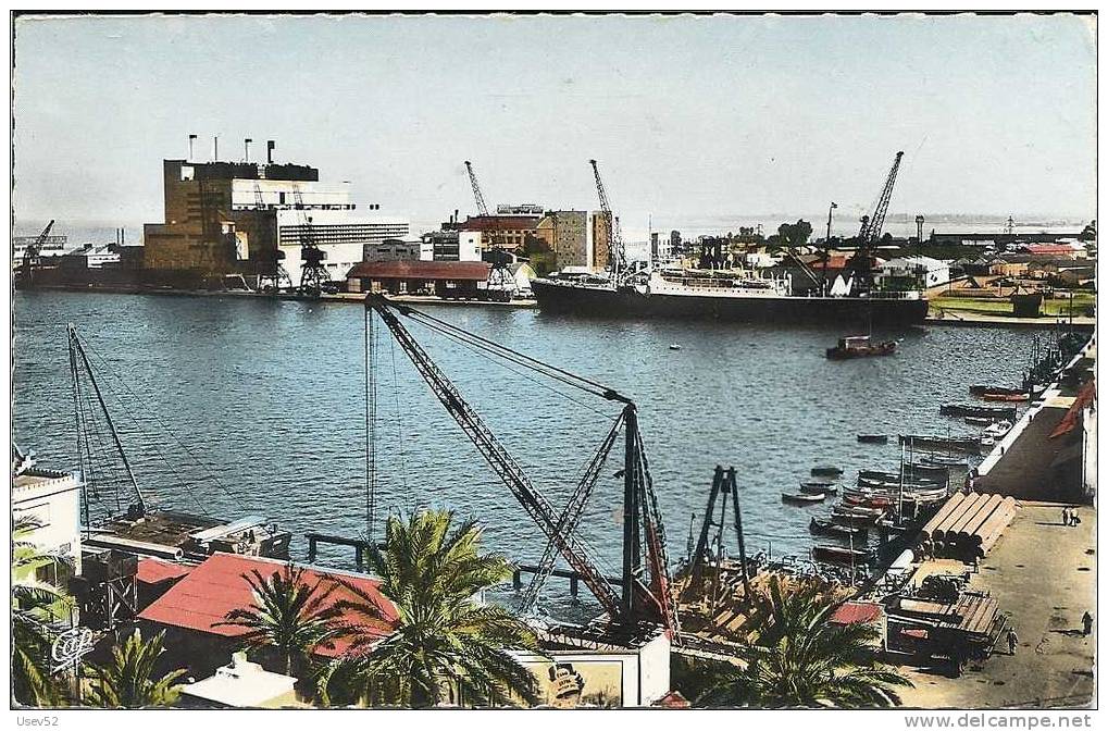 CPSM Bône - Le Port