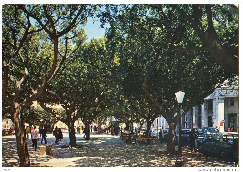 Algérie - annaba - cours de la révolution