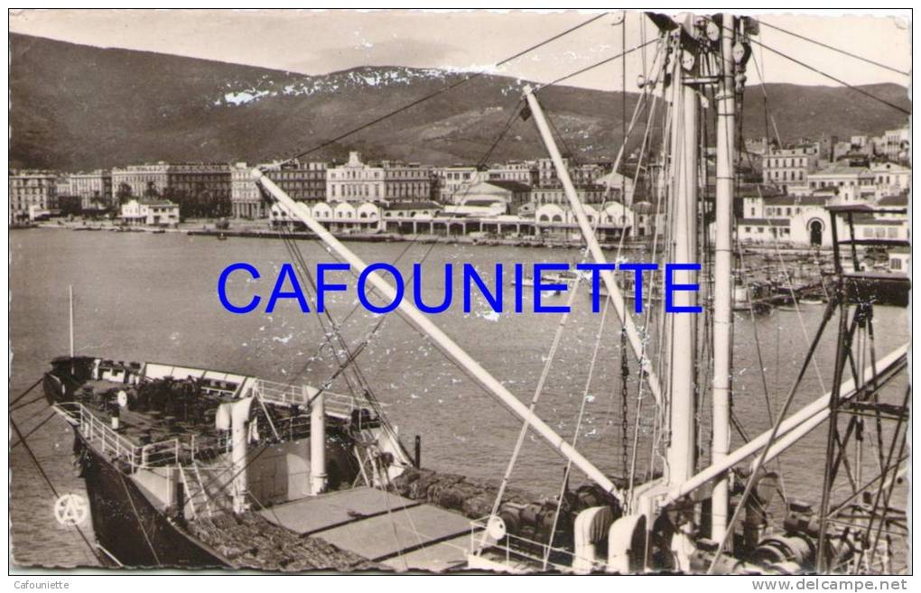 Bône (petite taille)