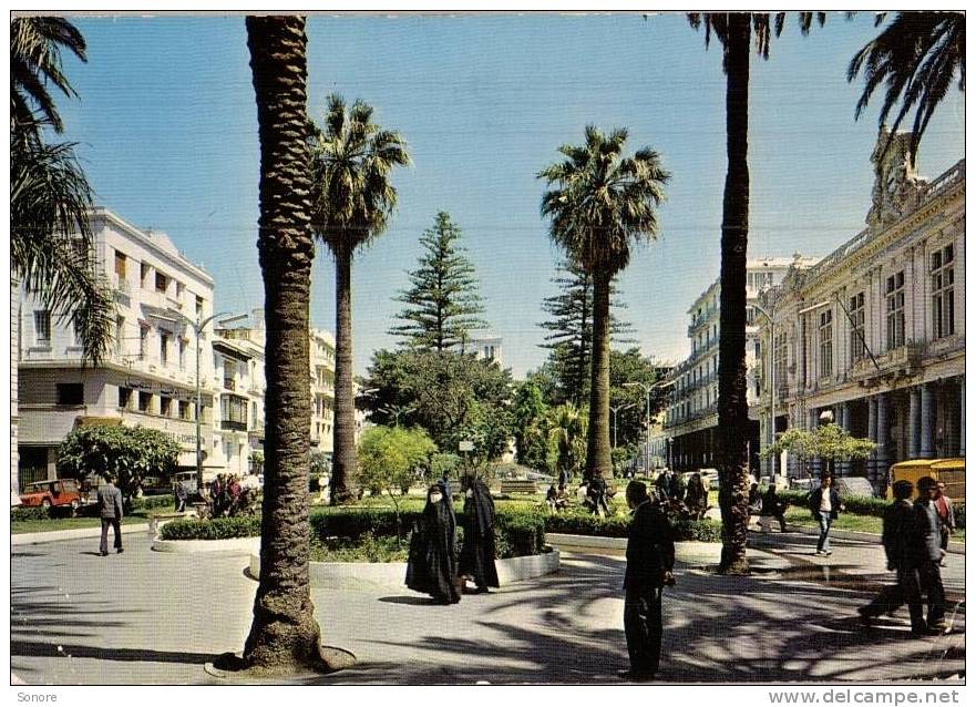 ANNABA-Cours de la révolution (Algérie)